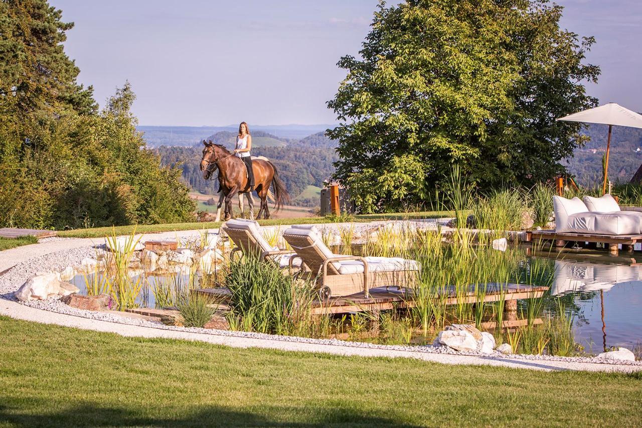 Waldschach Golden Hill Country Chalets & Suites מראה חיצוני תמונה
